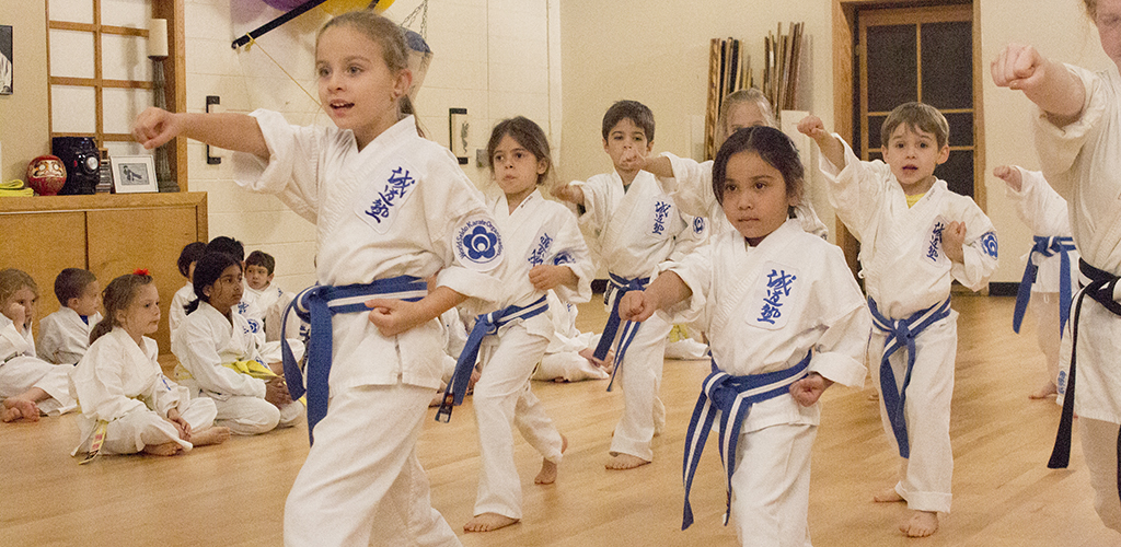 Kids Karate Banner 